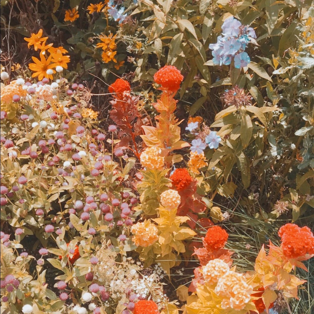 Meet your Posher, Isabella